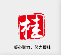 聚焦产业，努力援桂